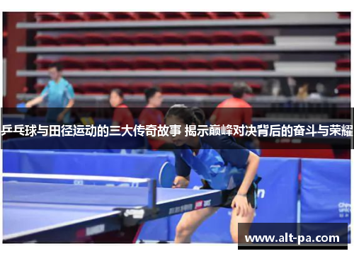 乒乓球与田径运动的三大传奇故事 揭示巅峰对决背后的奋斗与荣耀