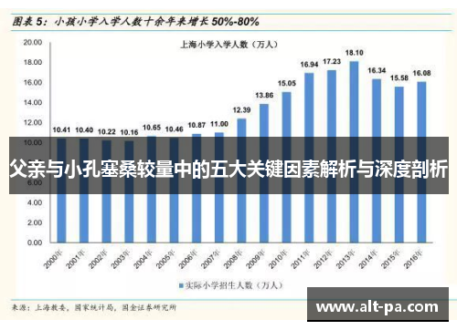父亲与小孔塞桑较量中的五大关键因素解析与深度剖析