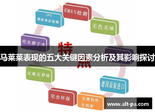 马莱莱表现的五大关键因素分析及其影响探讨 马莱莱表现的五大关键因素分析及其影响探讨
