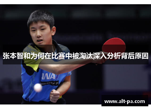 张本智和为何在比赛中被淘汰深入分析背后原因