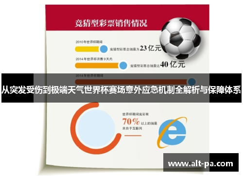 从突发受伤到极端天气世界杯赛场意外应急机制全解析与保障体系