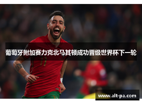 葡萄牙附加赛力克北马其顿成功晋级世界杯下一轮 葡萄牙附加赛力克北马其顿成功晋级世界杯下一轮
